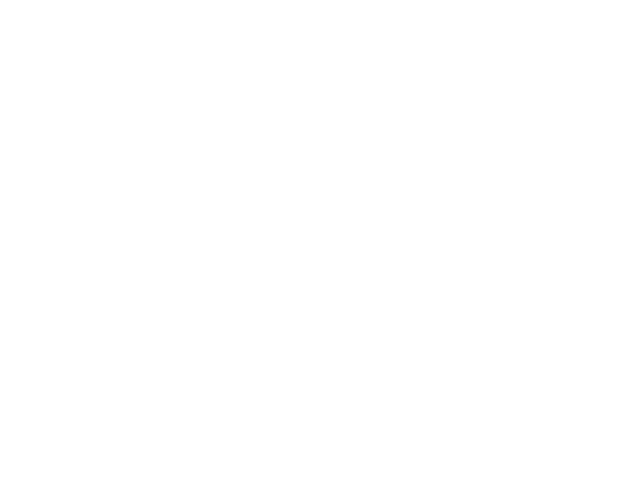 baerz-logo